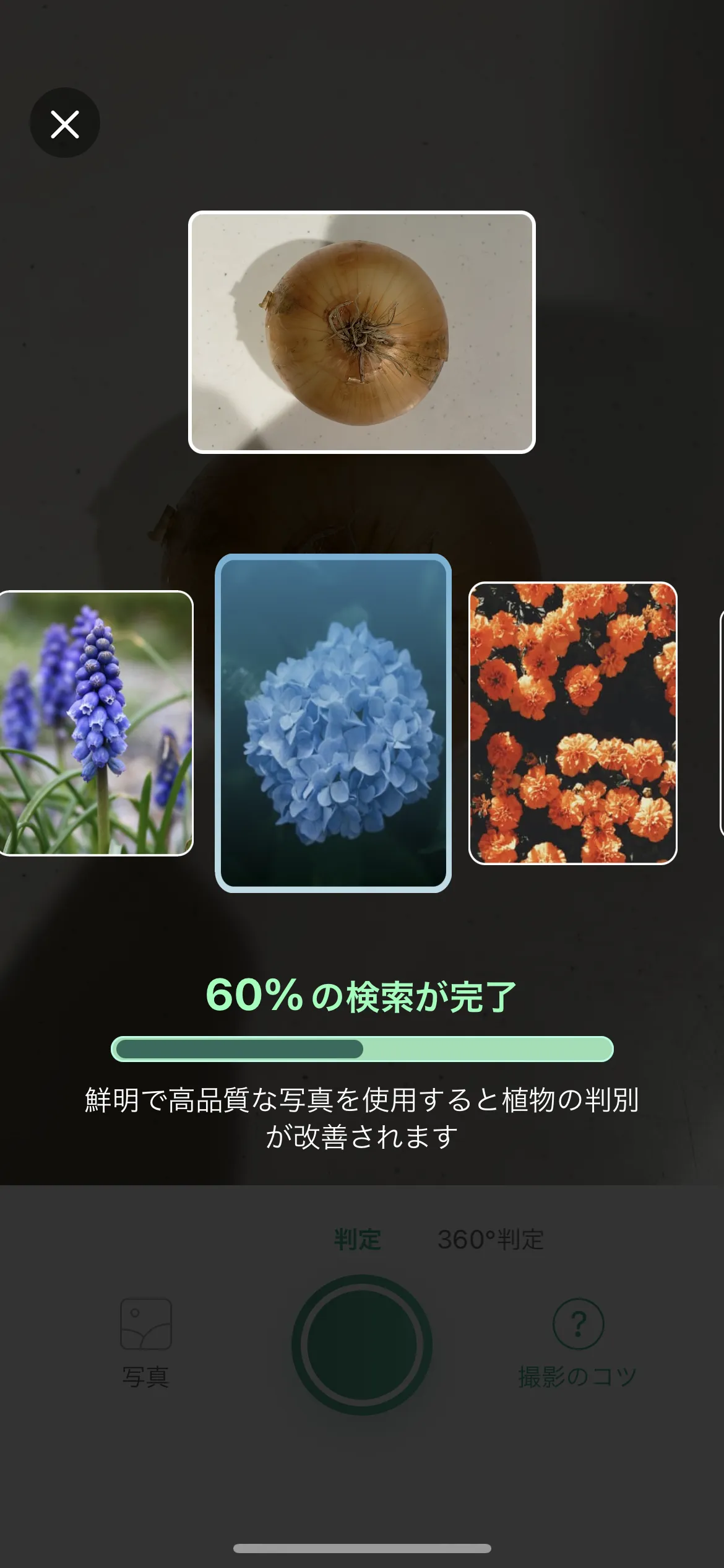 PictureThis 撮影 screen