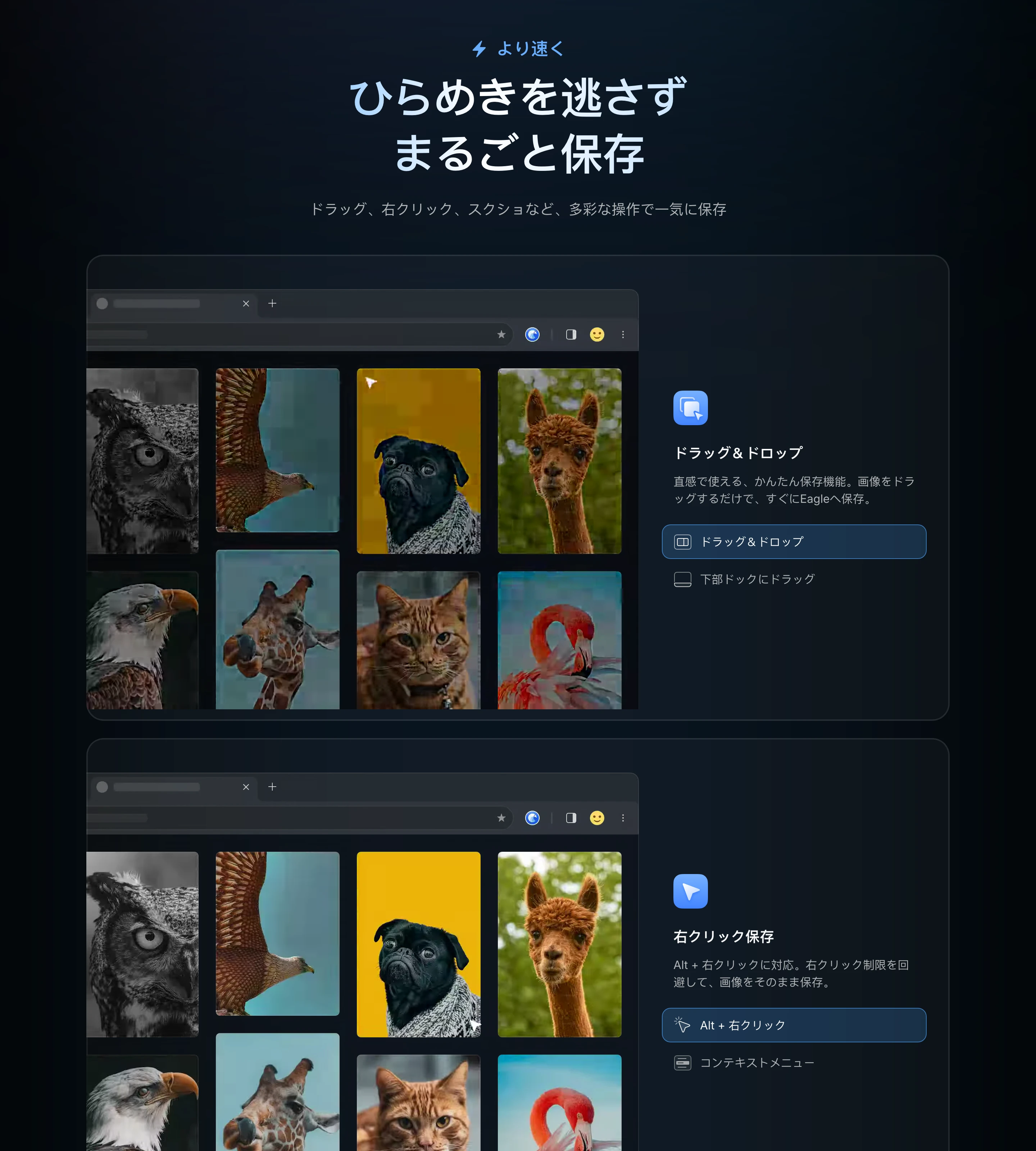 eagle screen