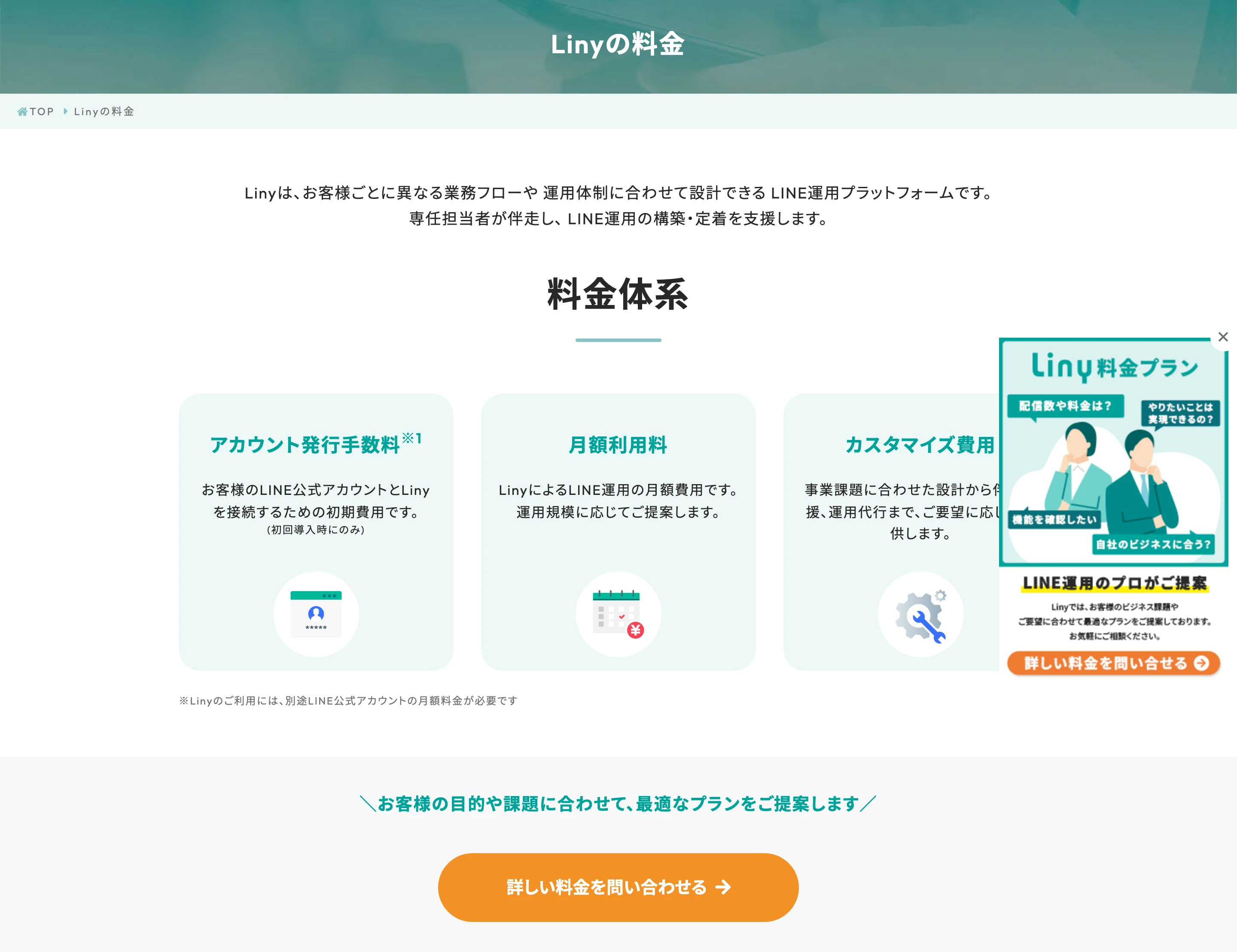 Liny screen