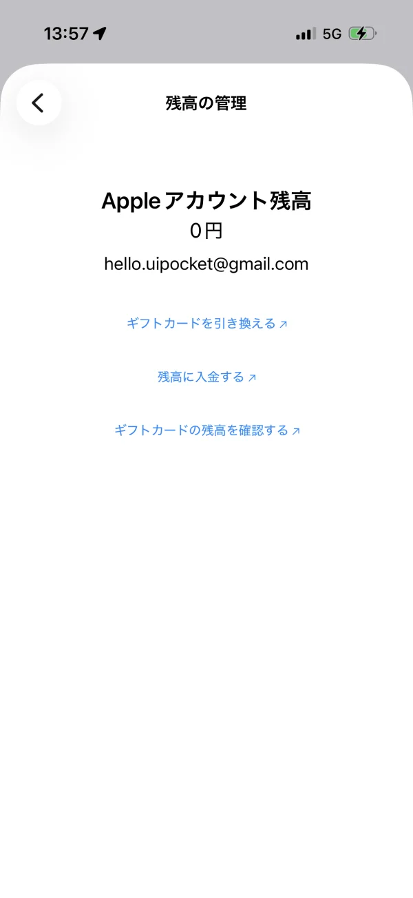 Apple Store screen
