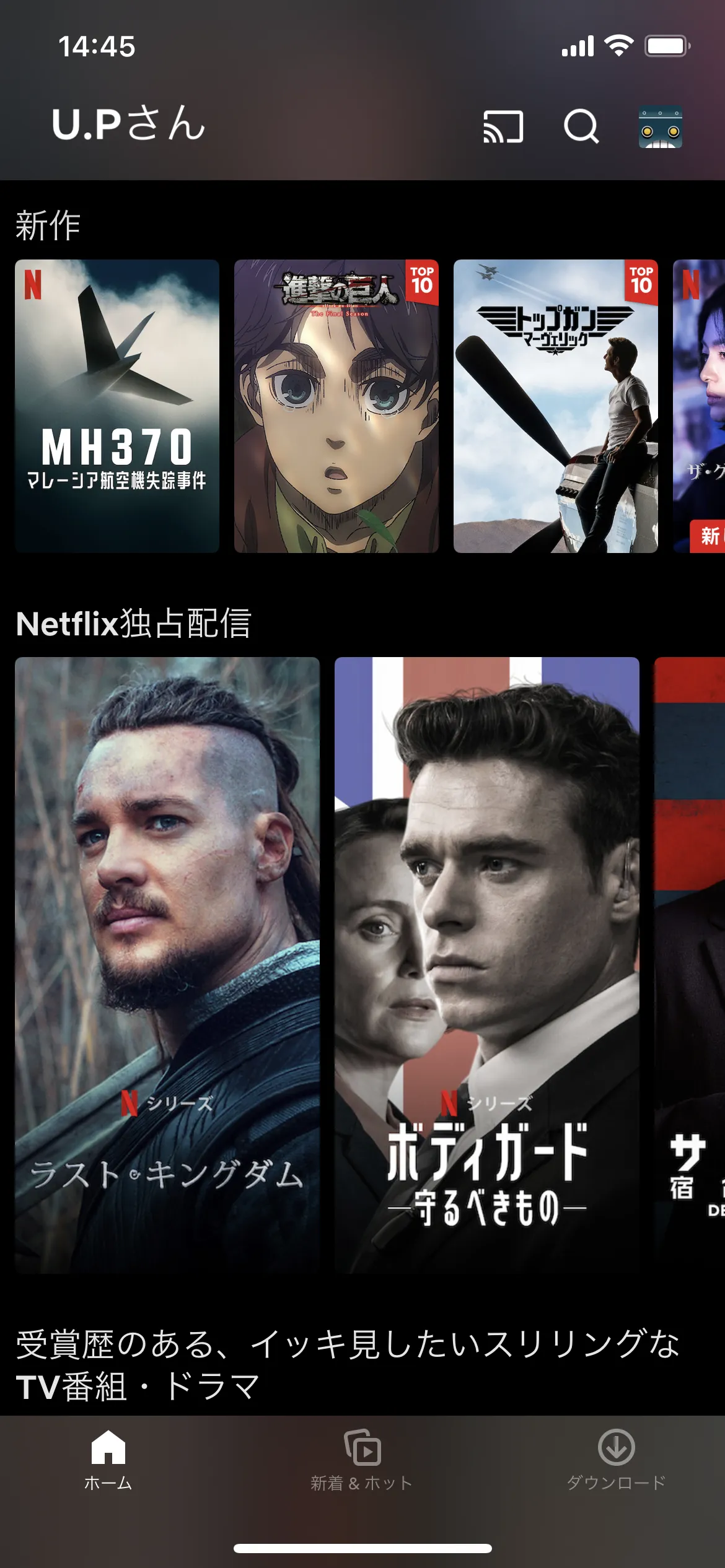 Netflix ホーム screen