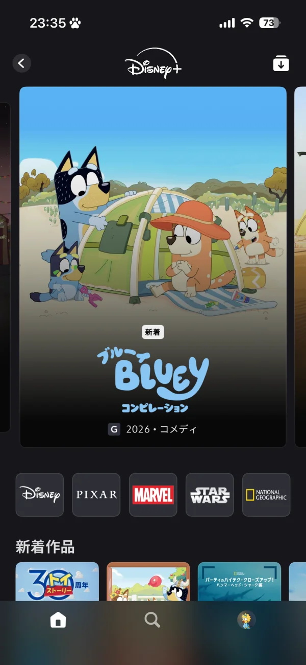 Disney+ screen