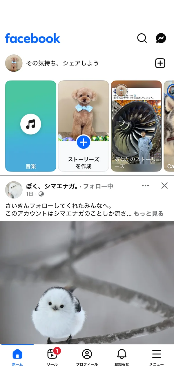 Facebook screen
