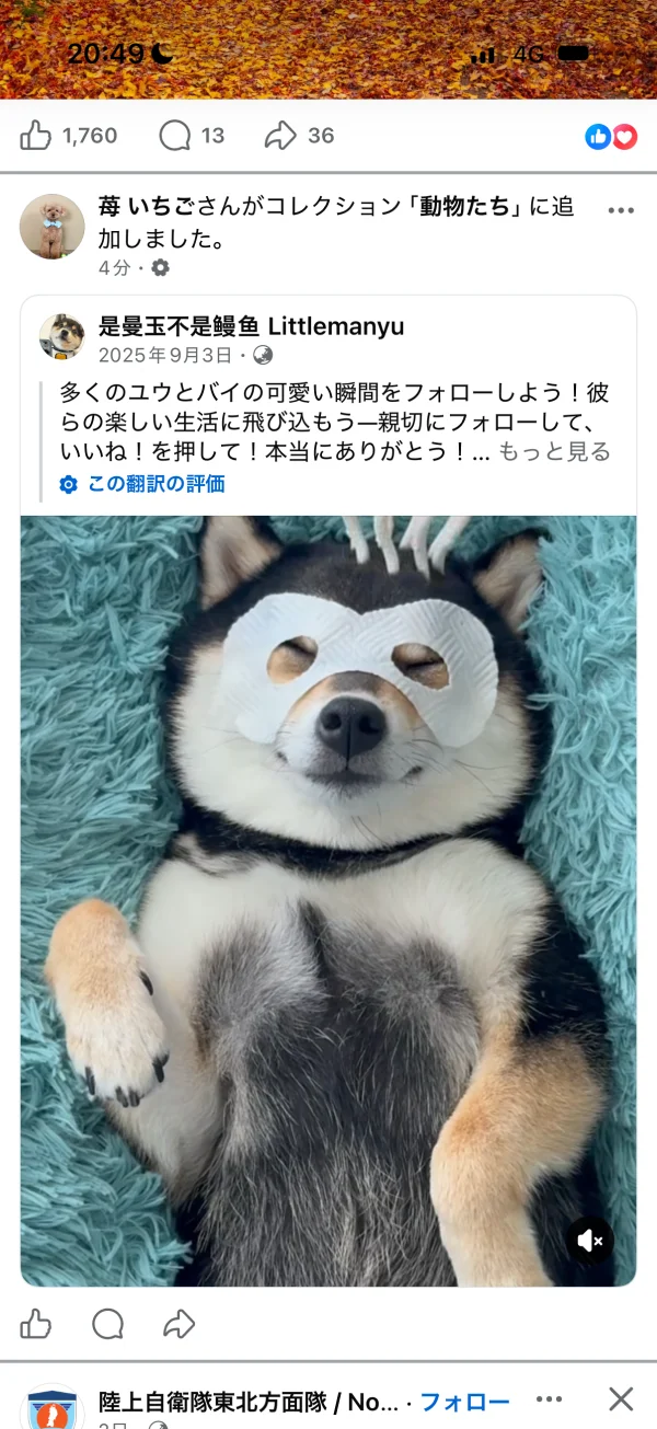 Facebookのアバター画面