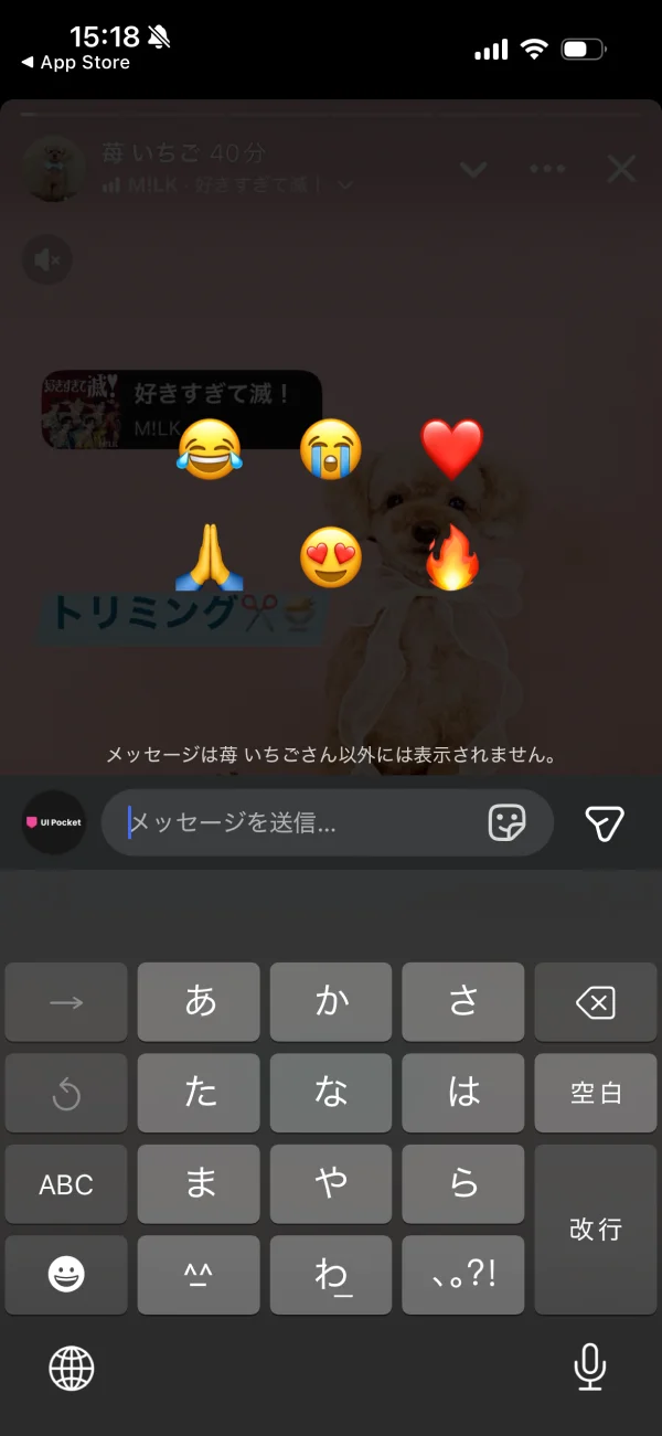 Facebookのポップオーバー画面