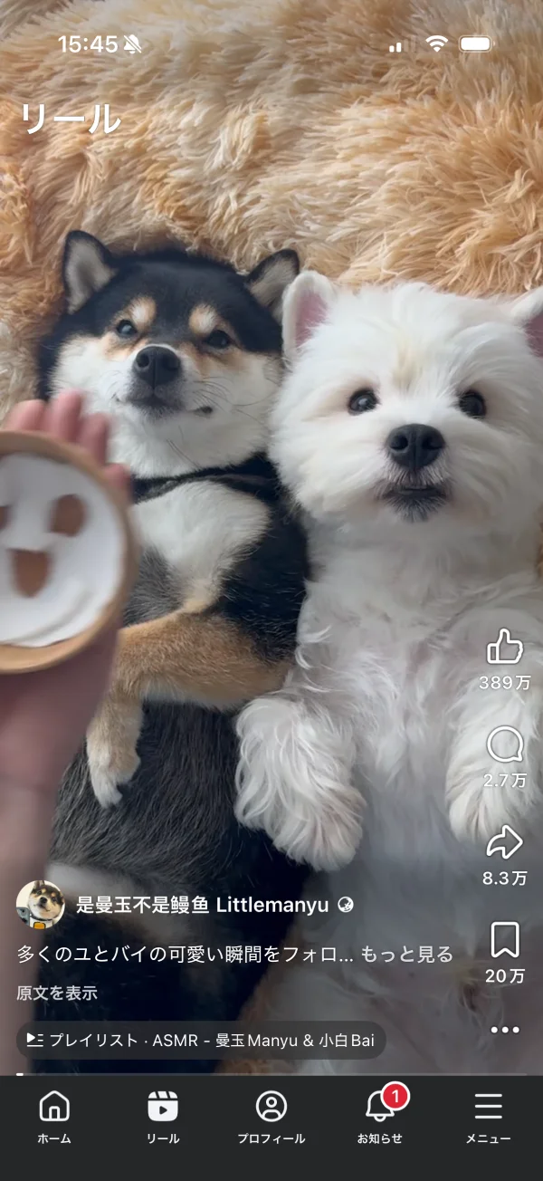 Facebookのビデオプレイヤー画面