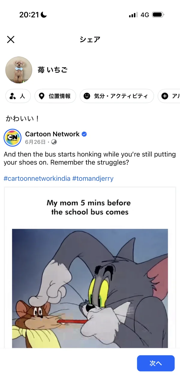 Facebookのプレビュー画面