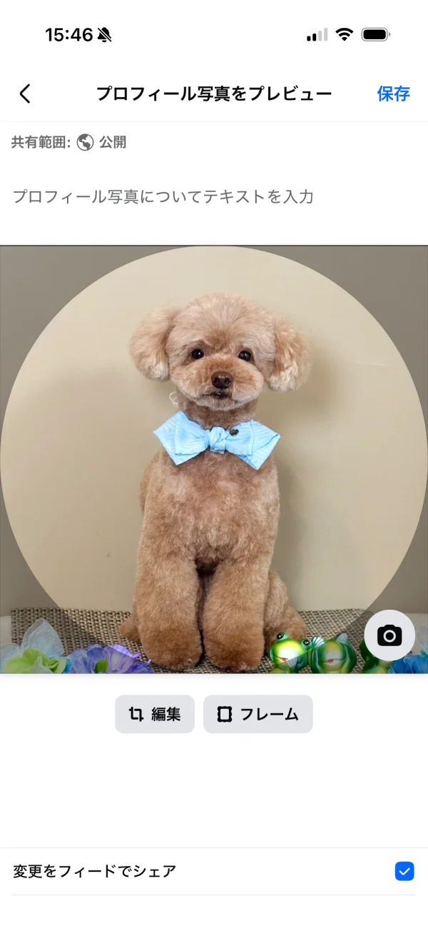 Facebookのプレビュー画面