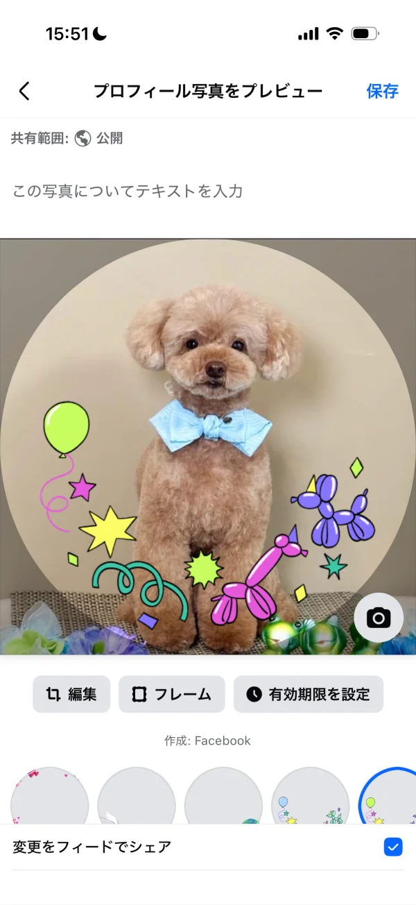 Facebookのプレビュー画面