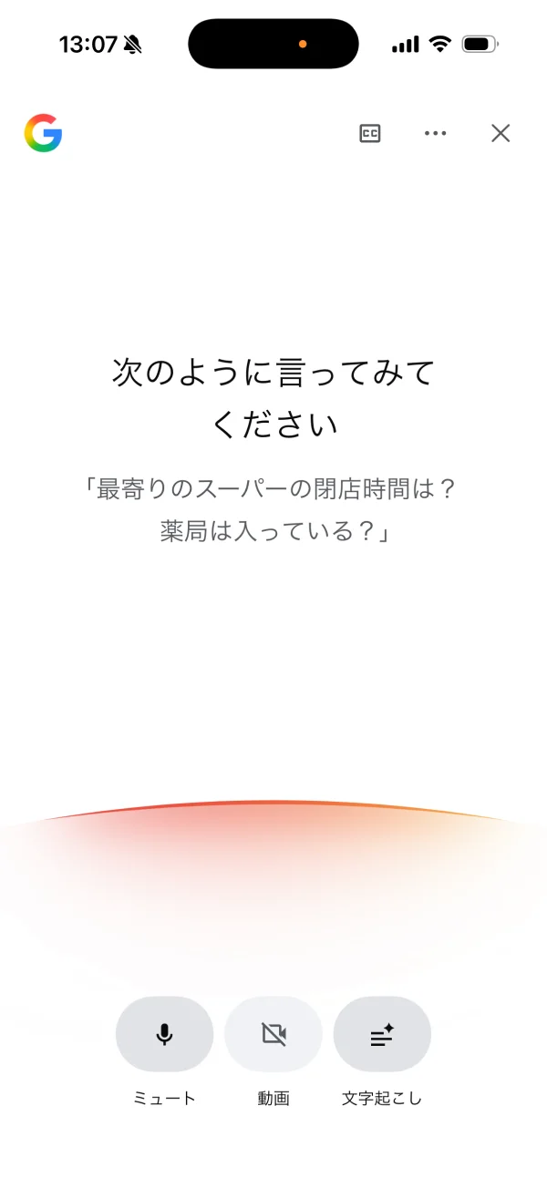 Google アプリ screen