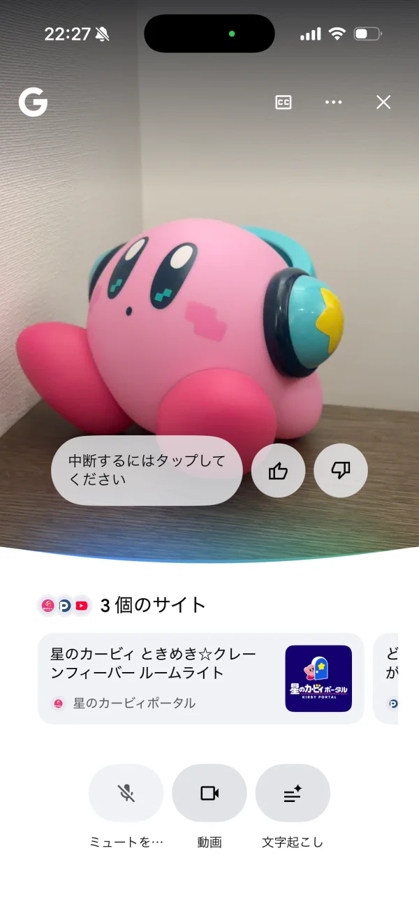 Google アプリ screen