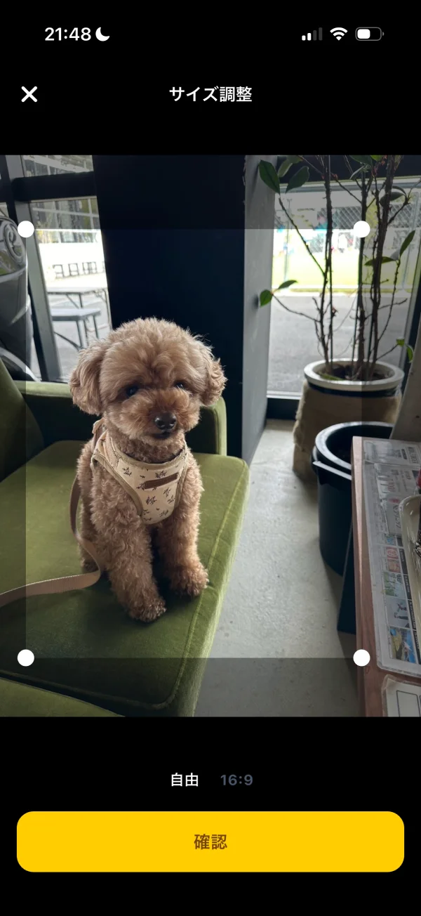 Habee（ハビー）の写真・動画エディタ画面