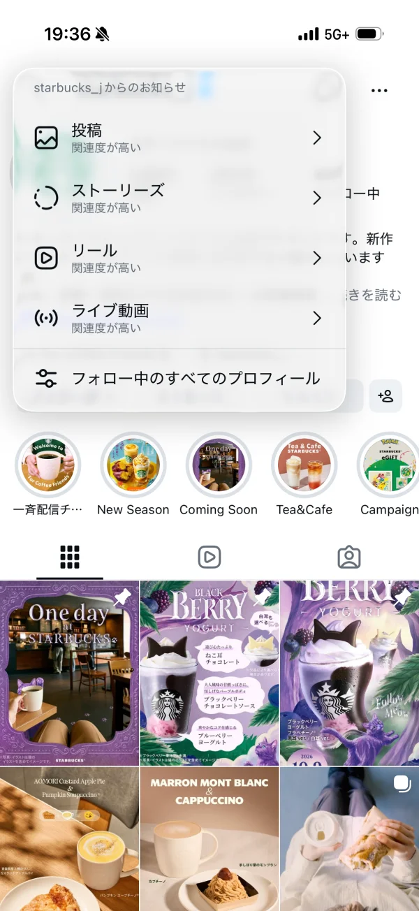 Instagramのポップオーバー画面