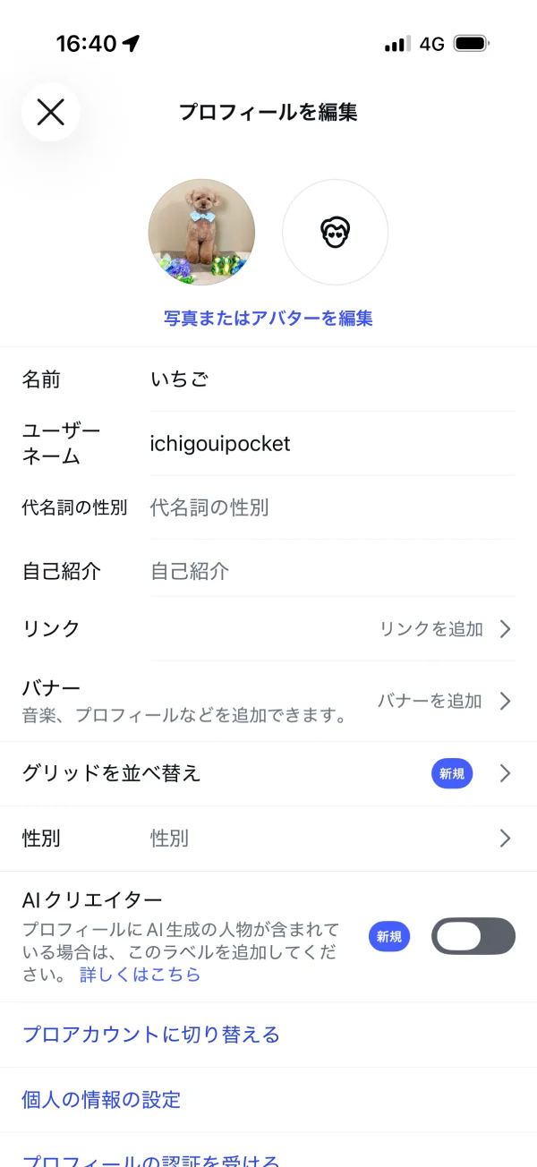 Instagramのリスト(テキスト)画面