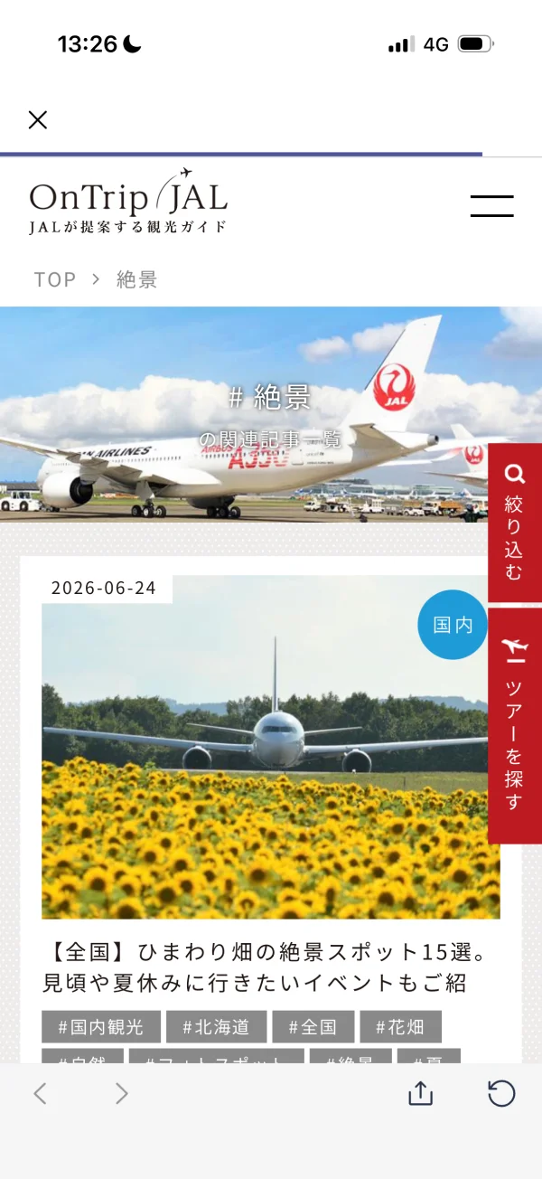 JAL screen