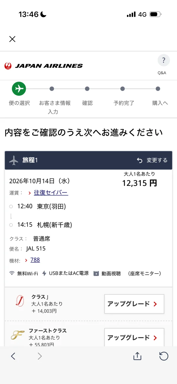 JAL screen
