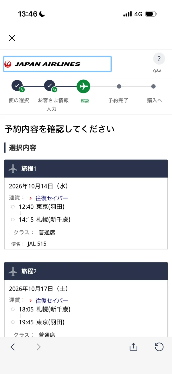 JAL screen