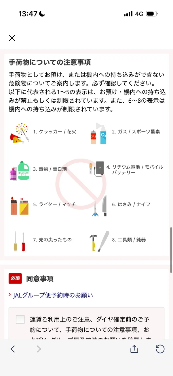 JAL screen