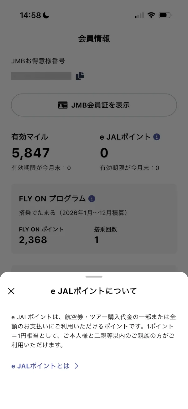 JAL screen
