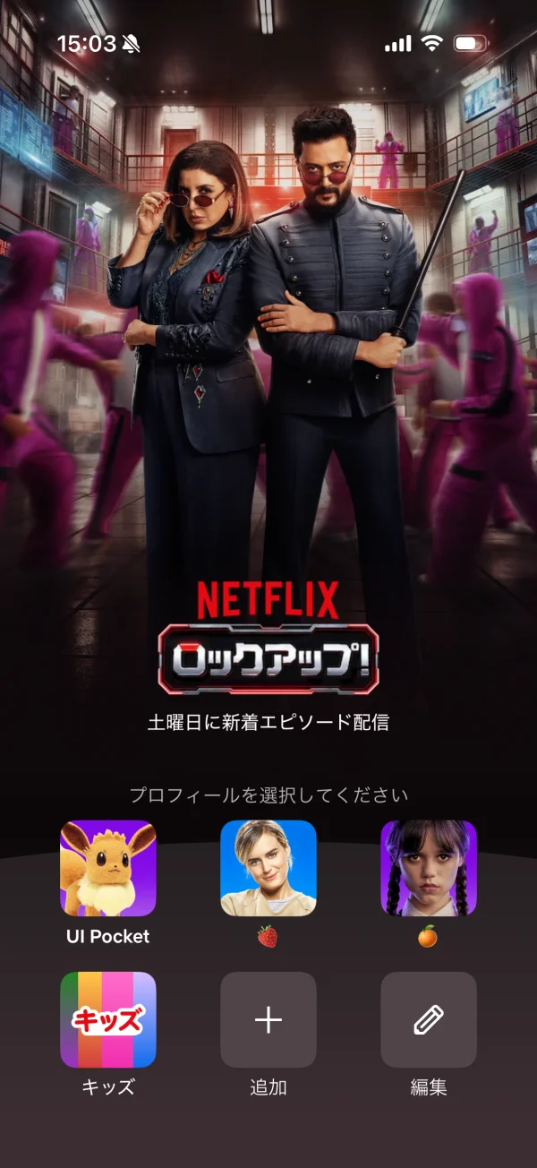 Netflix screen