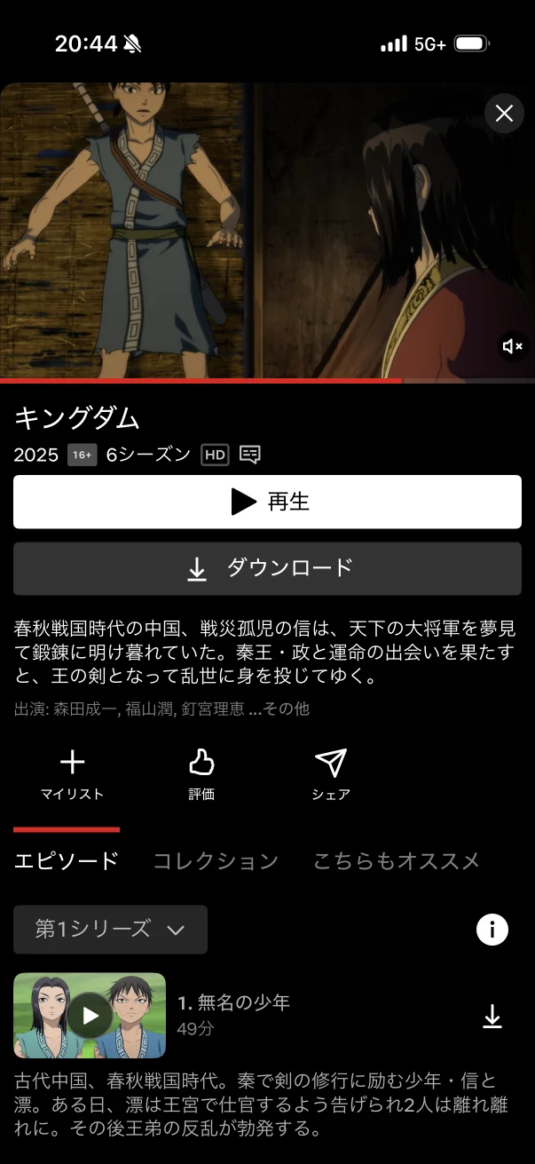 Netflix screen