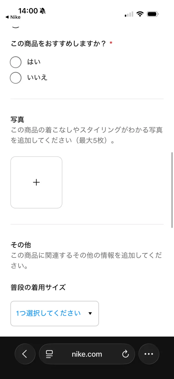 Nikeのファイルインプット画面