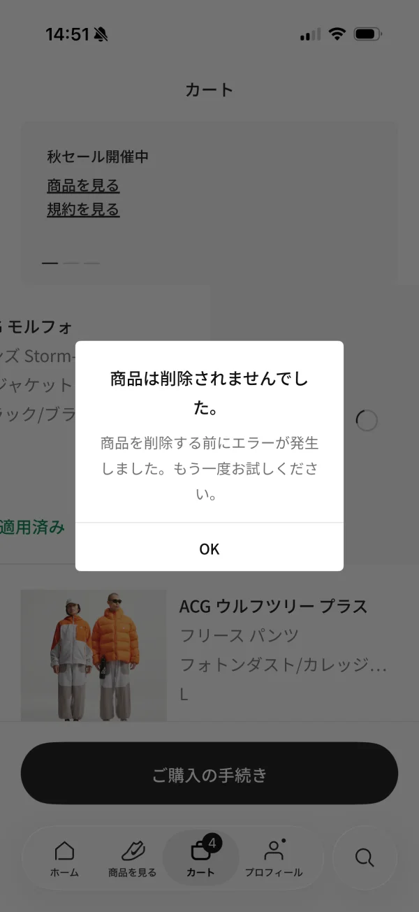 Nikeのエラーステート画面