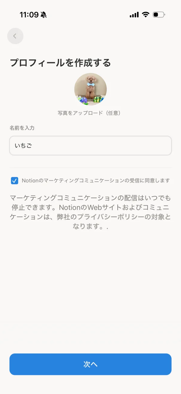Notion screen