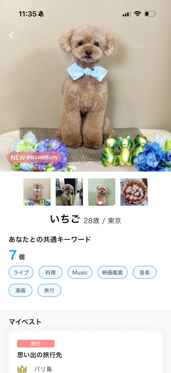 Omiai（オミアイ）のプレビュー画面