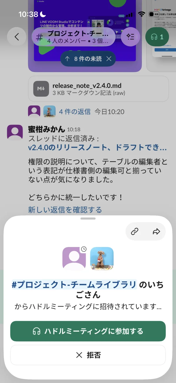 Slackの通話・ビデオ通話画面