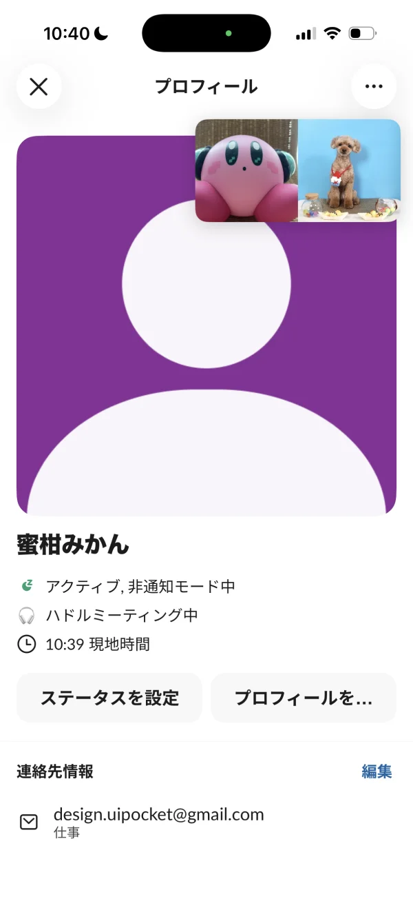 Slackのユーザープロフィール画面