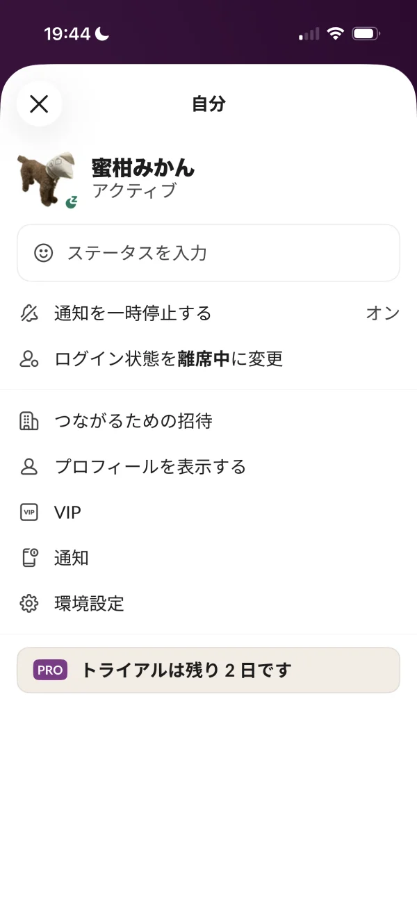 Slackのマイページ画面