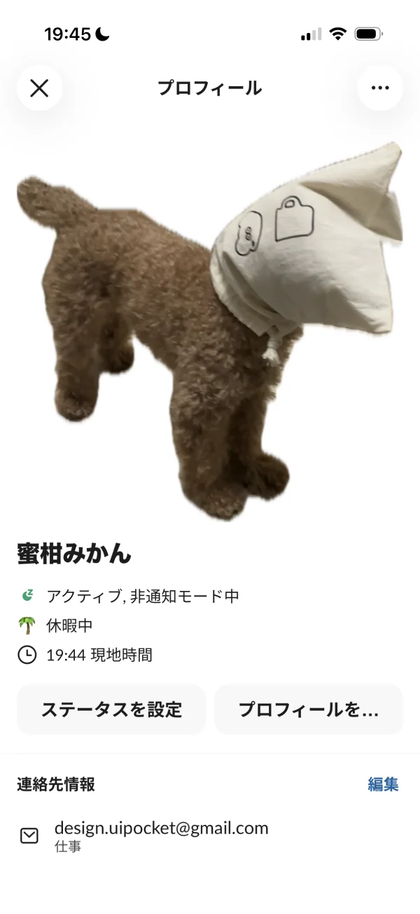 Slackのマイページ画面