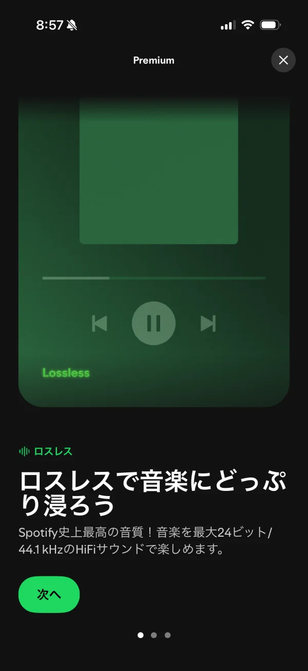 Spotify screen