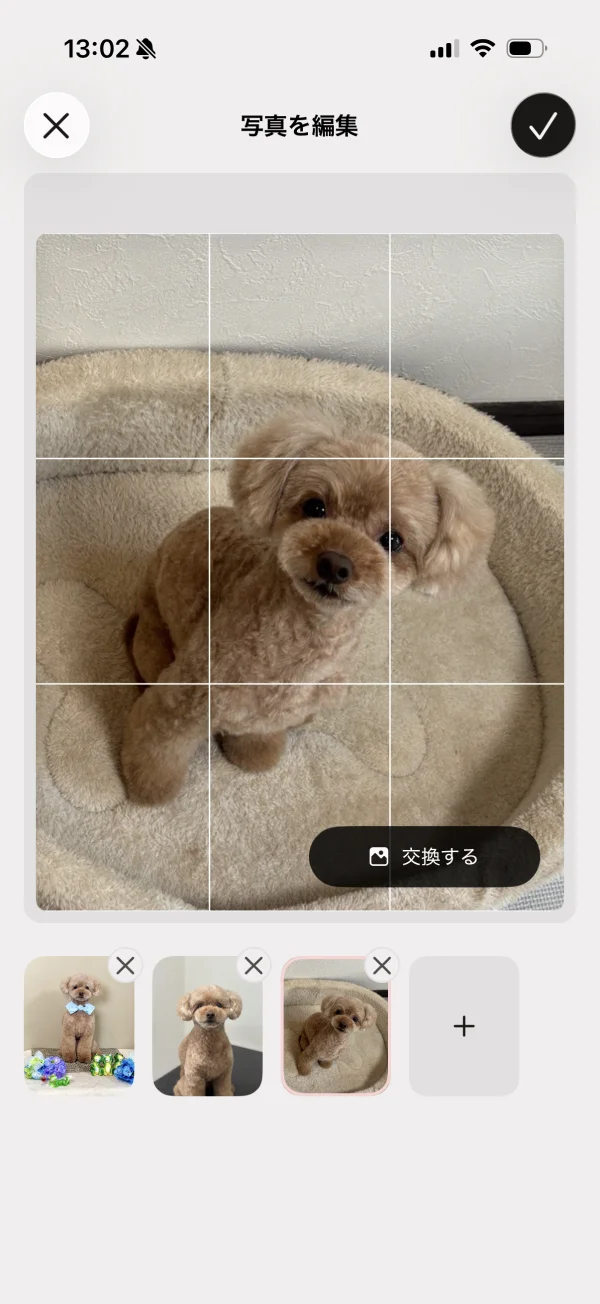 Tinder（ティンダー）の写真・動画エディタ画面