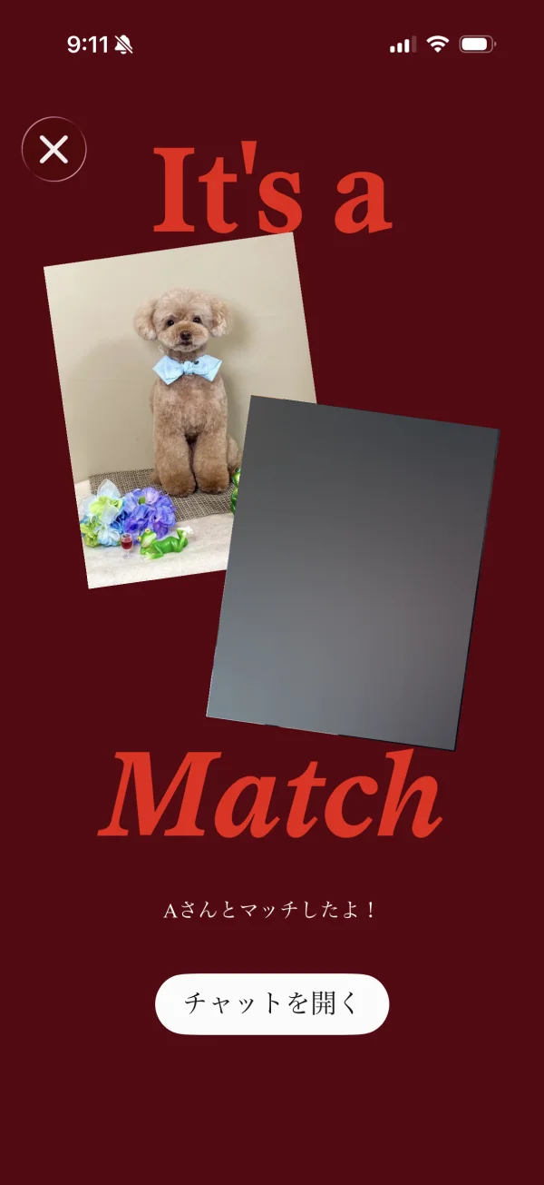 Tinder（ティンダー）のフルスクリーンシート画面