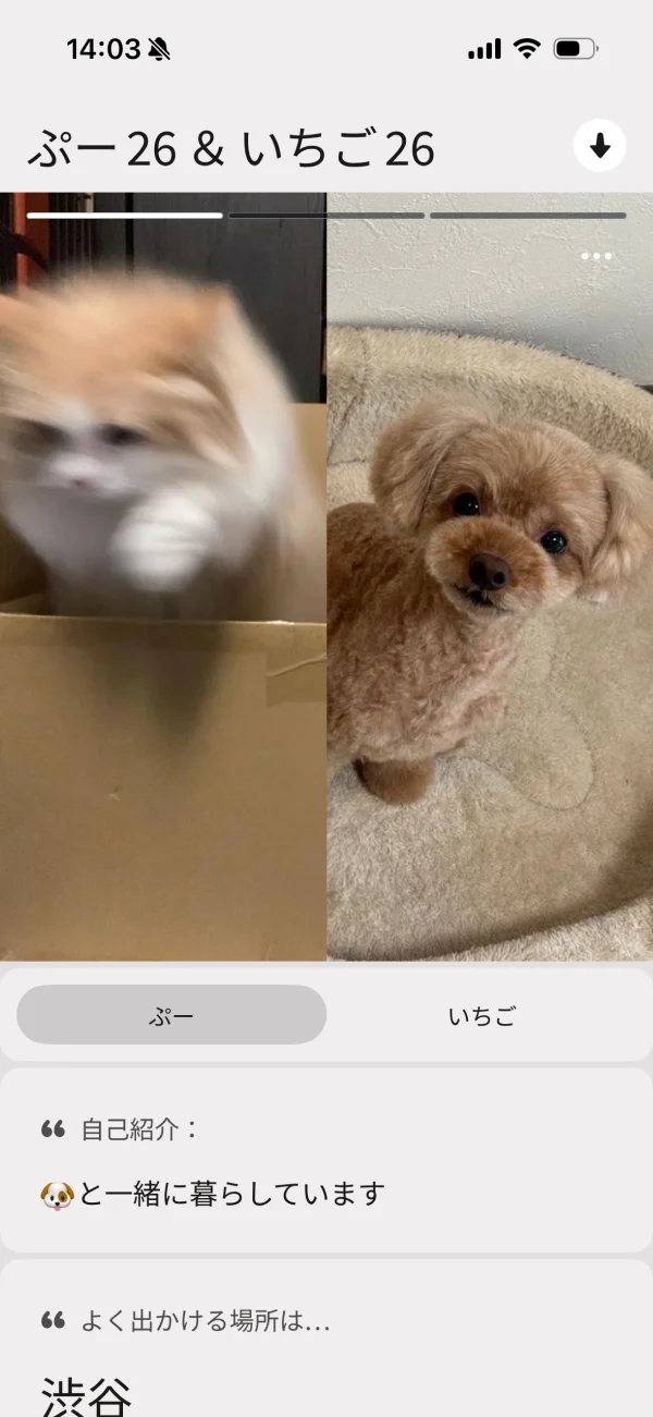 Tinder（ティンダー）のユーザープロフィール画面