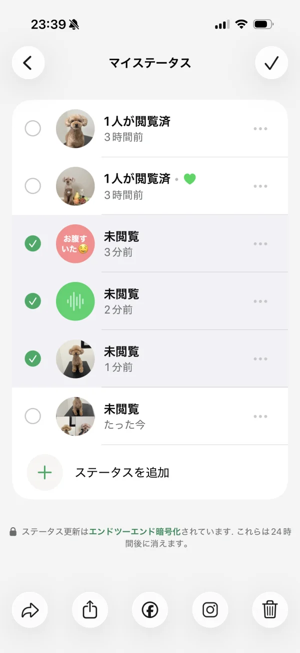 WhatsApp Messenger screen