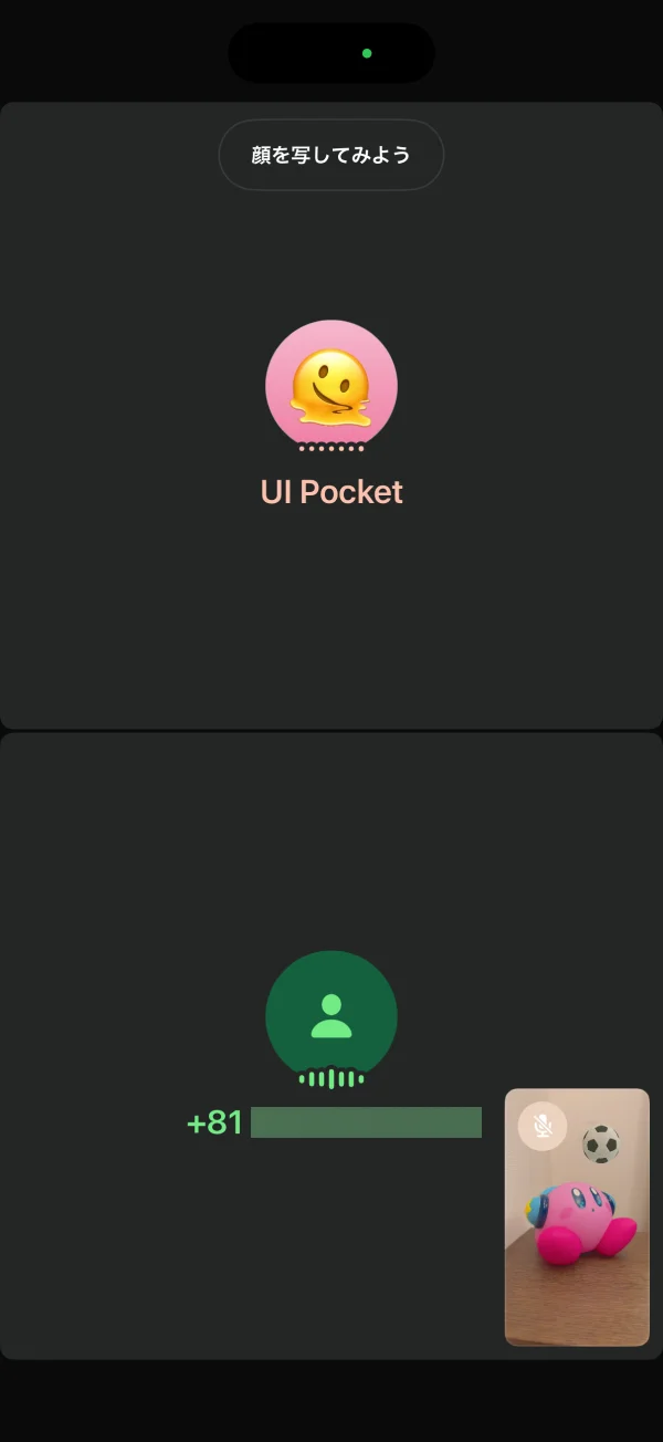 WhatsApp Messengerの通話・ビデオ通話画面