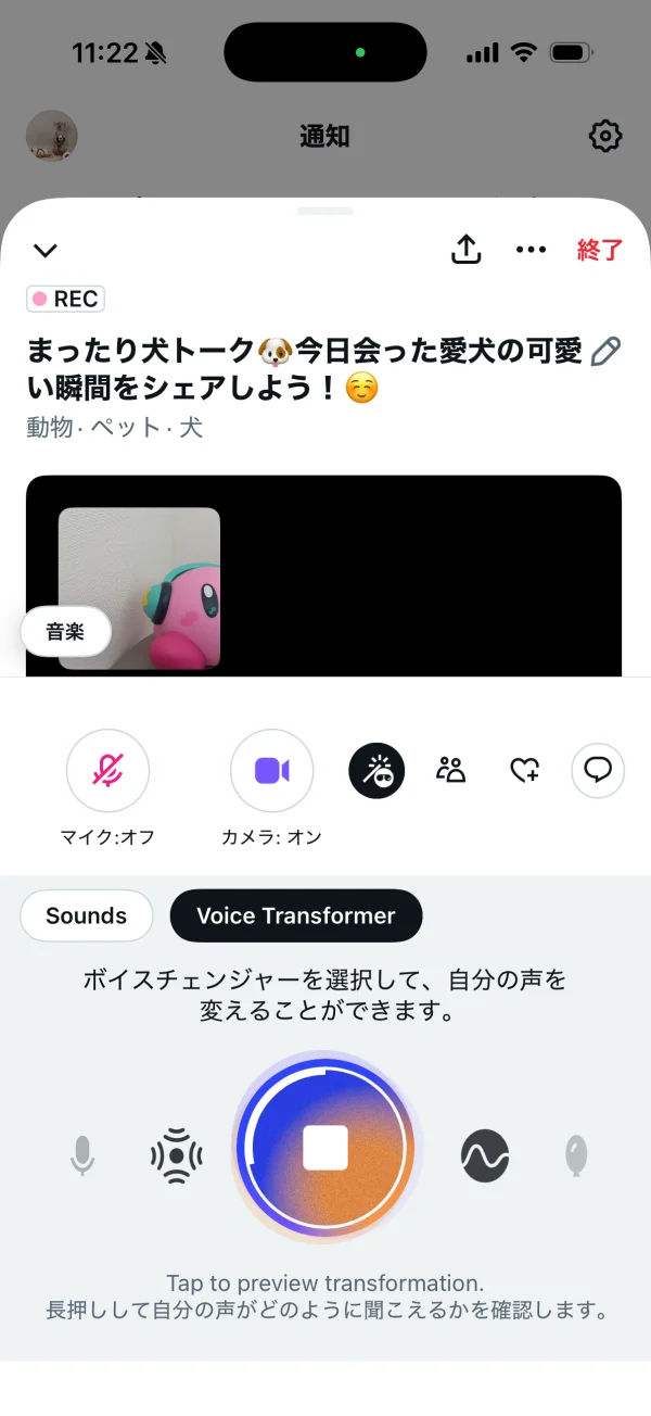 X screen
